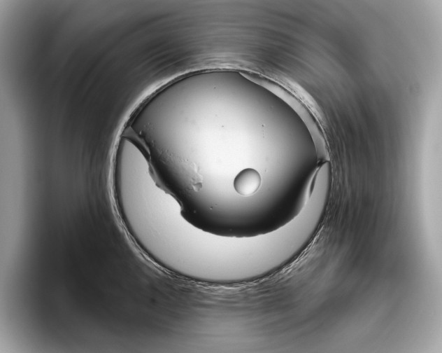 X0000096431144200802141427