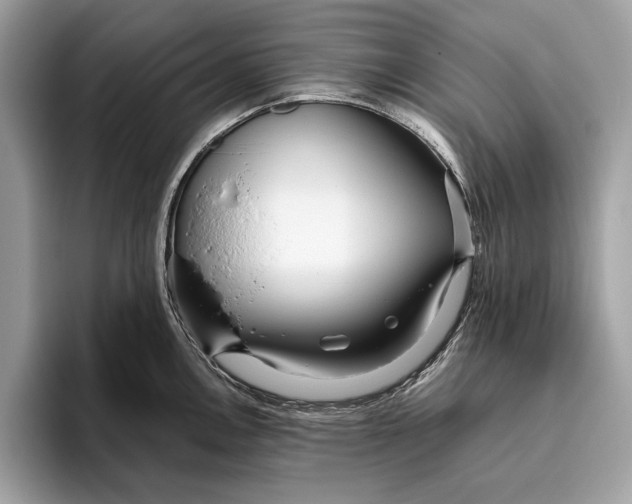 X0000096431146200802141427