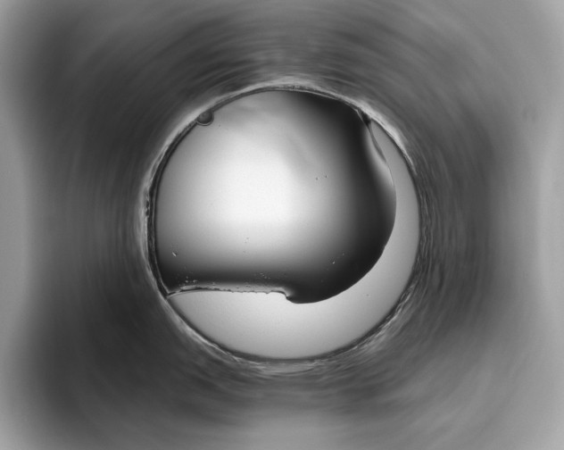 X0000096431151200802141427