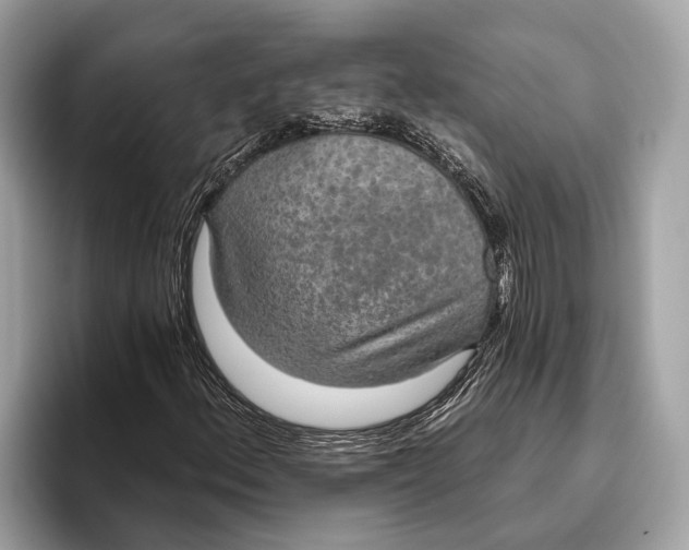 X0000096431156200802141426