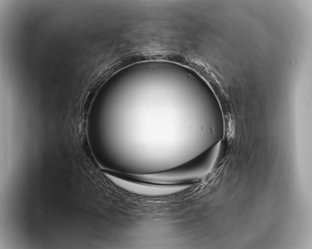 X0000096431157200802141426