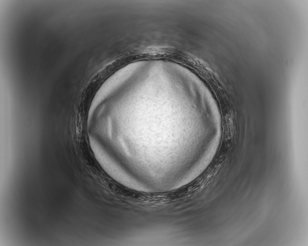 X0000096431158200802141426