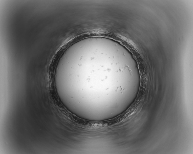 X0000096431160200802141426