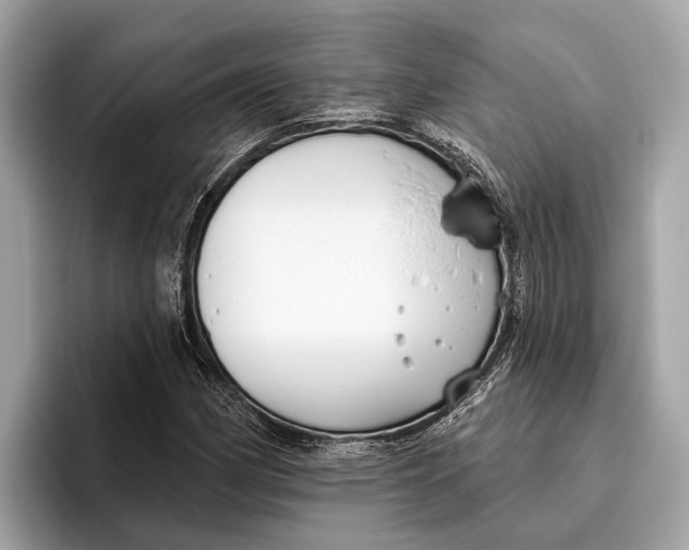 X0000096431162200802141426