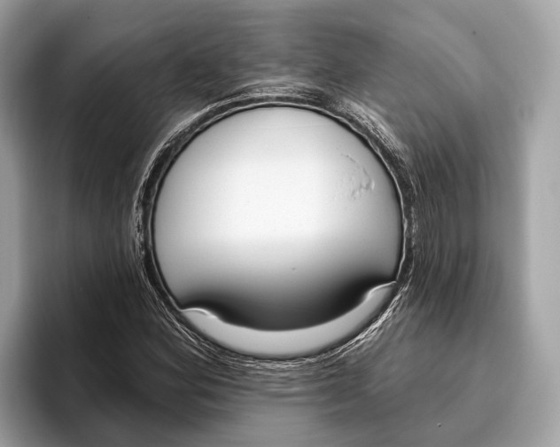 X0000096431164200802141426