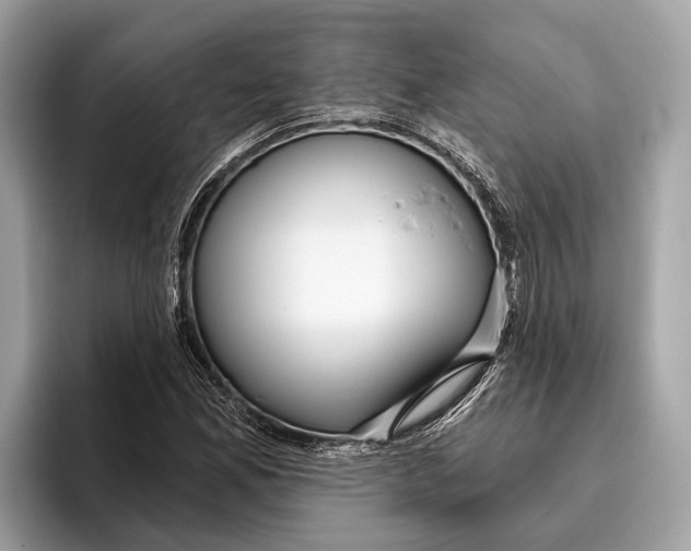 X0000096431165200802141426