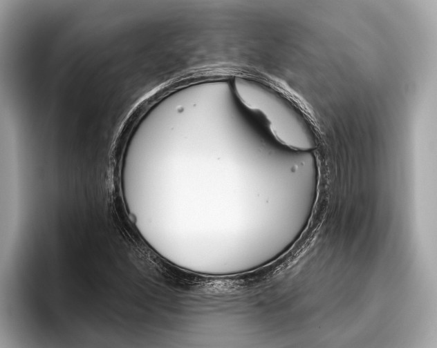 X0000096431166200802141426
