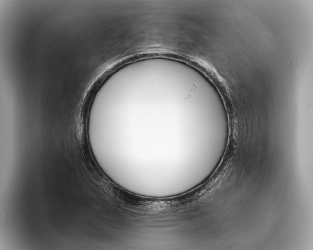 X0000096431167200802141426