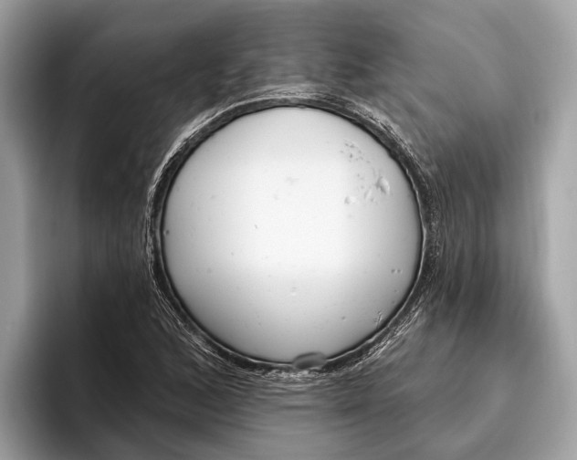 X0000096431168200802141426