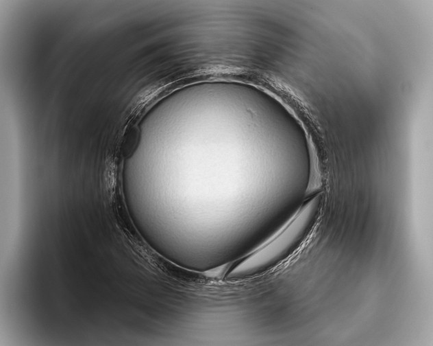 X0000096431169200802141426