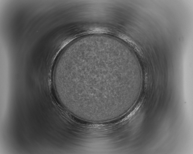 X0000096431170200802141426