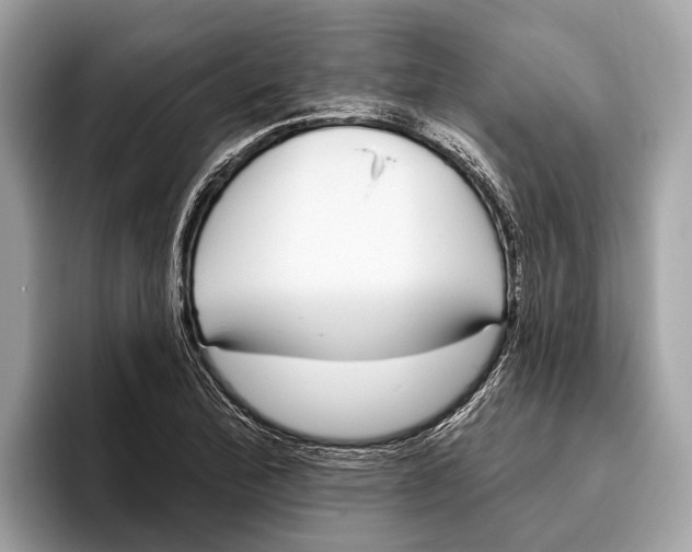 X0000096431172200802141426