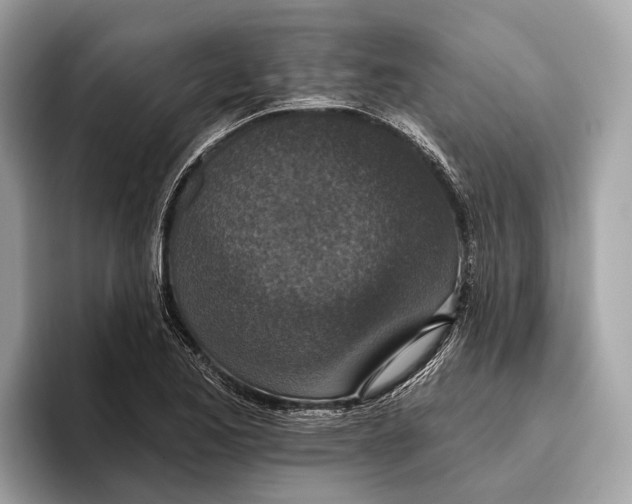 X0000096431173200802141426