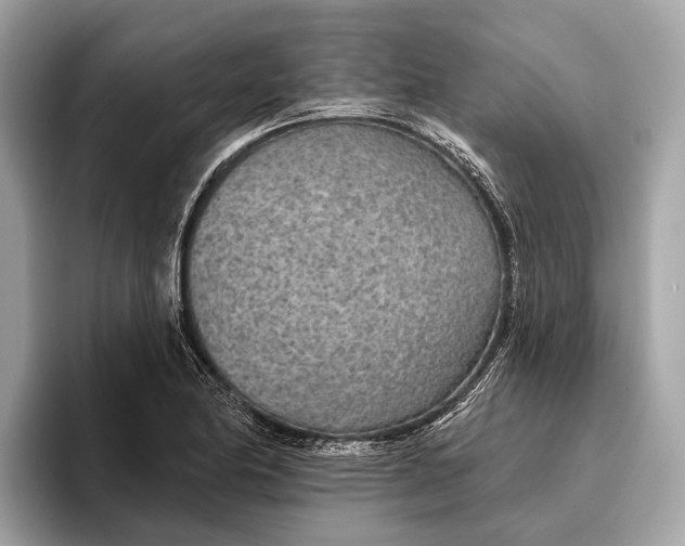 X0000096431174200802141426