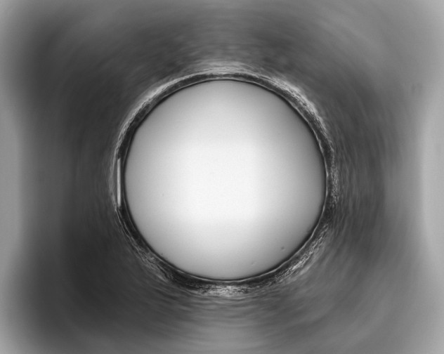 X0000096431175200802141426