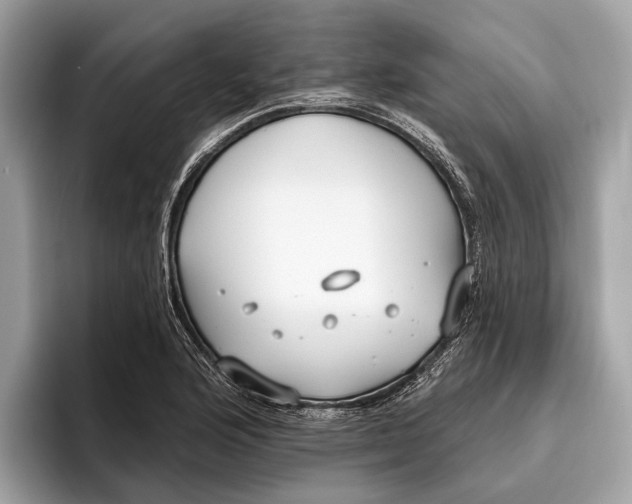 X0000096431176200802141426