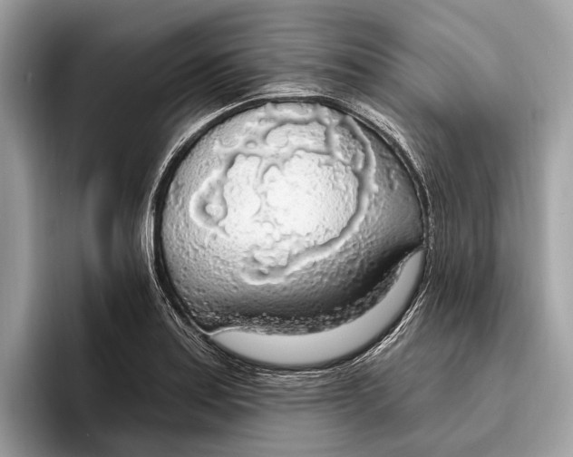 X0000096431179200802141426