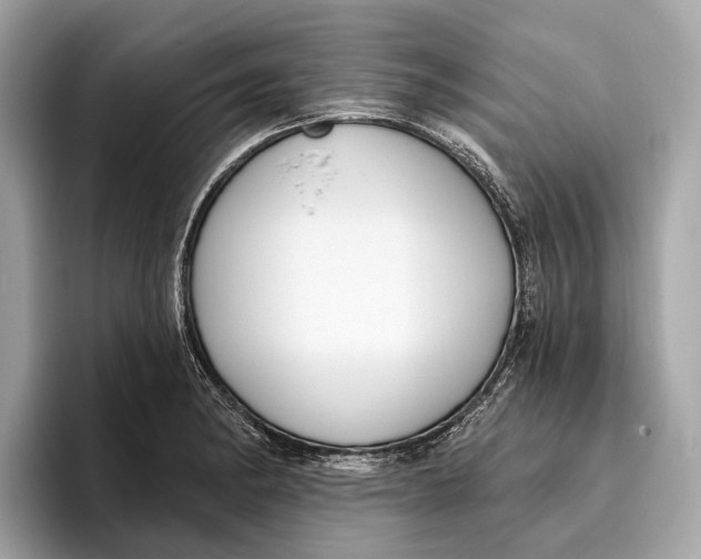 X0000096431182200802141426