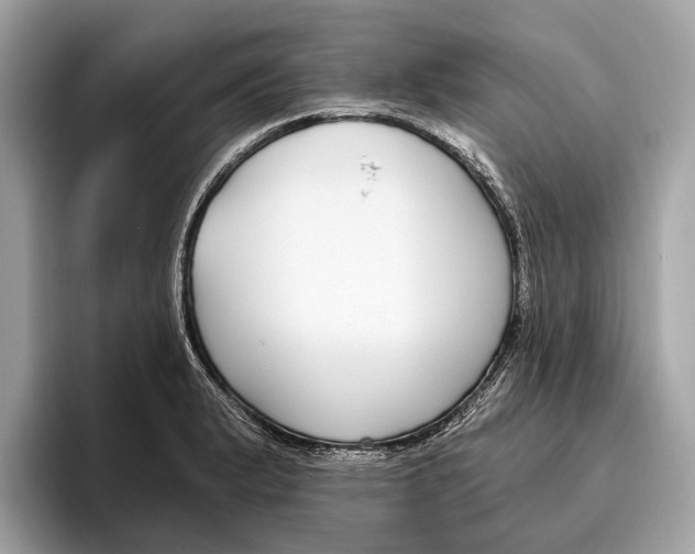 X0000096431183200802141426