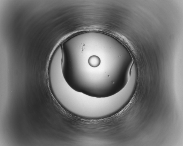 X0000096431184200802141426