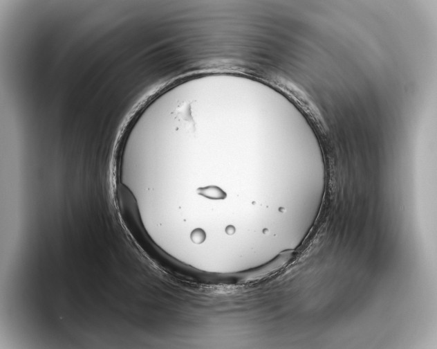 X0000096431188200802141426