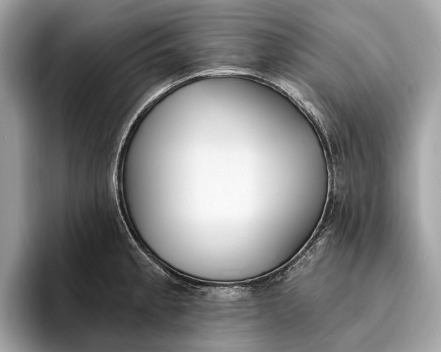 X0000096431189200802141426