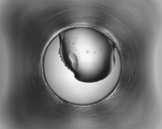 X0000096431192200802141425