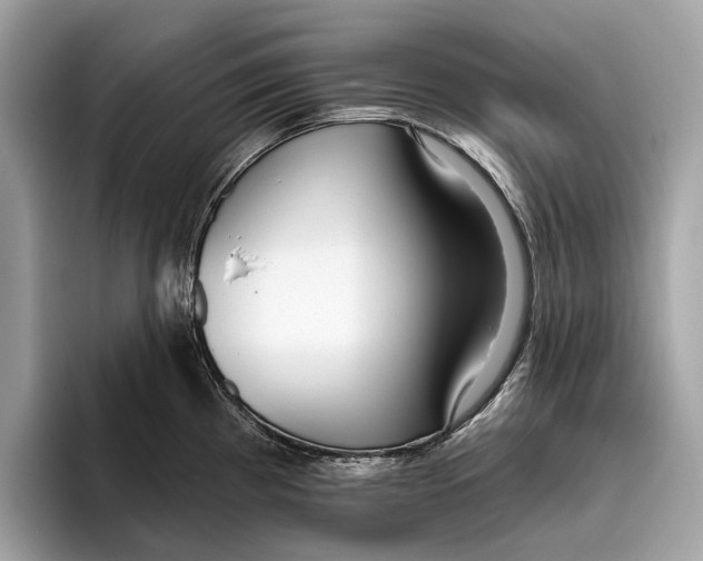 X0000096431193200802141425