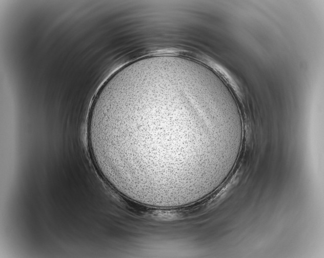 X0000096431194200802141425
