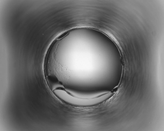 X0000096431197200802141425