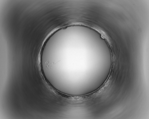X0000096431198200802141425