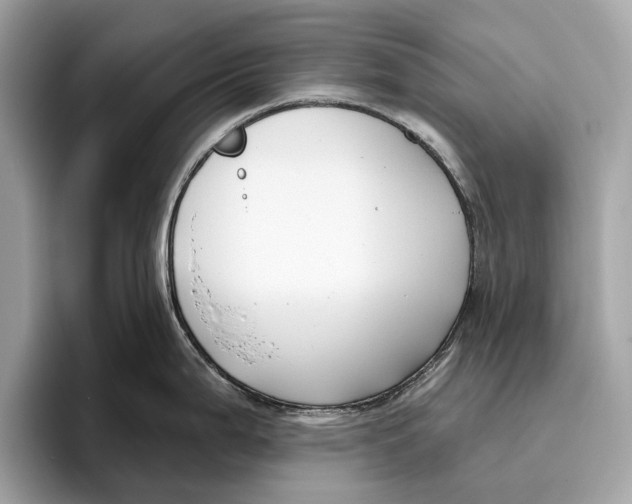 X0000096431199200802141425