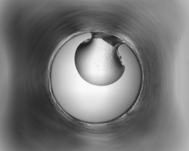 X0000096431200200802141425