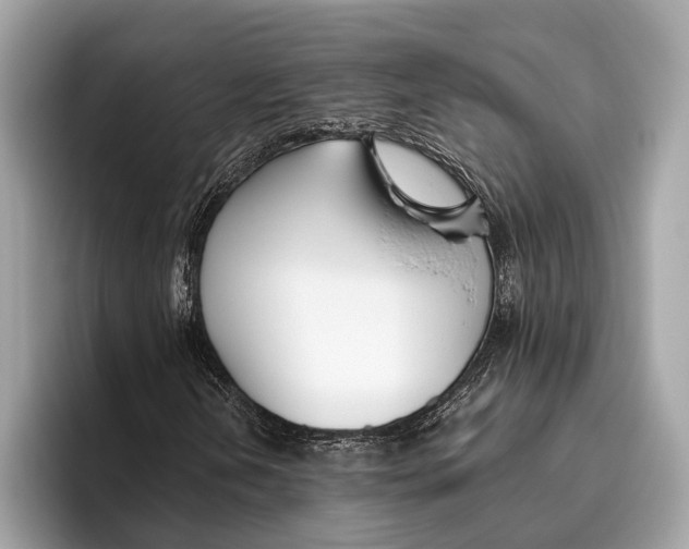 X0000096431202200802141425