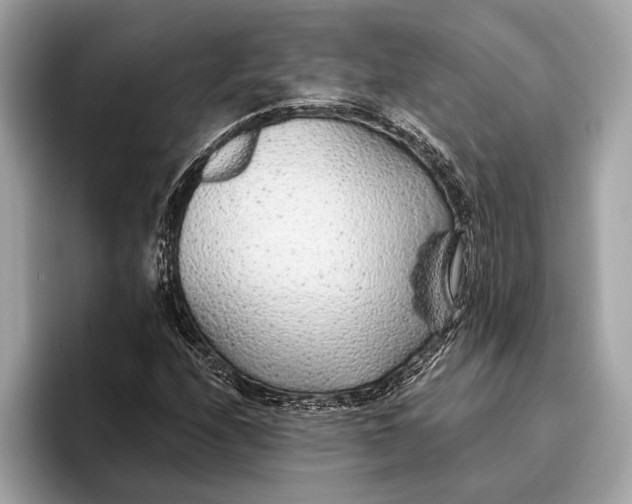 X0000096431208200802141425