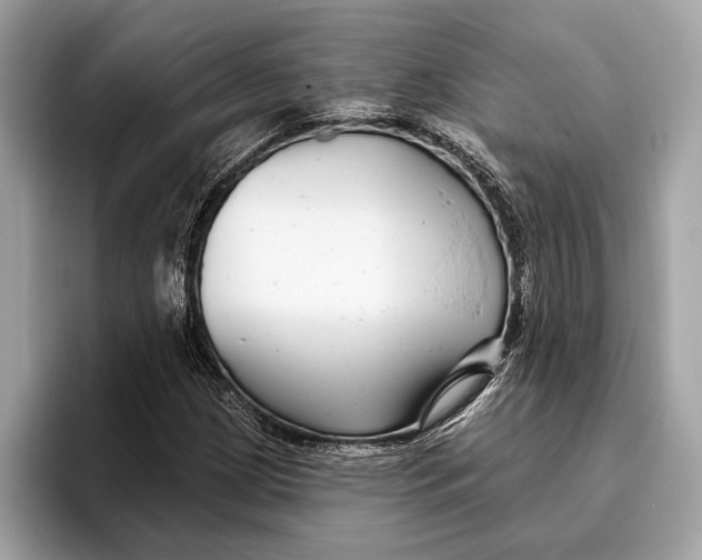 X0000096431209200802141425