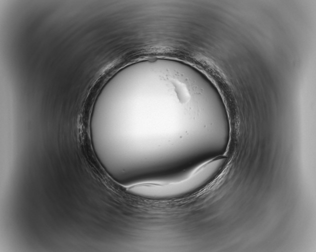 X0000096431210200802141425