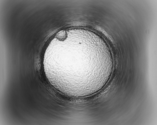 X0000096431213200802141425