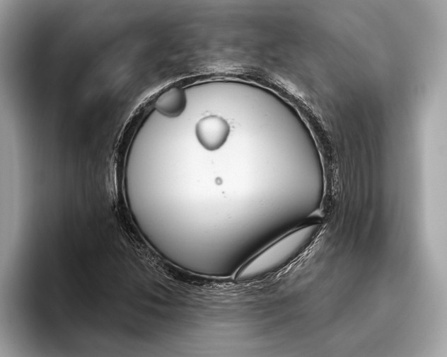 X0000096431214200802141425