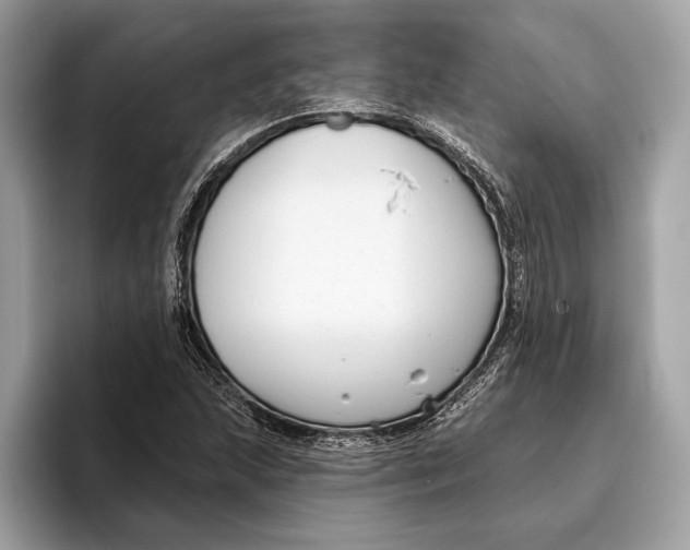 X0000096431215200802141425