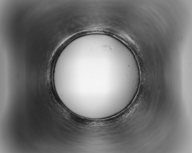 X0000096431216200802141425