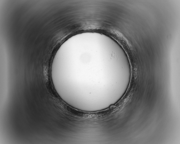 X0000096431217200802141425