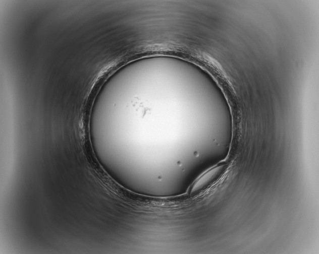 X0000096431218200802141425