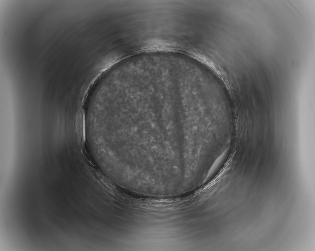 X0000096431219200802141425