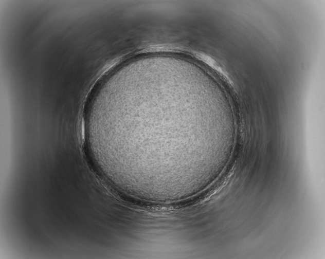 X0000096431221200802141425