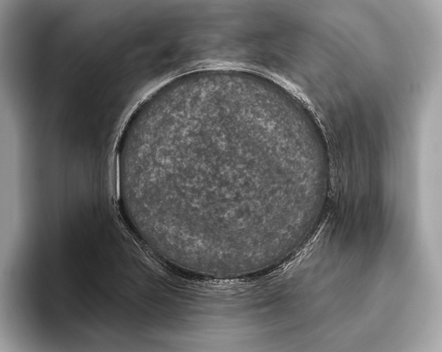 X0000096431223200802141425