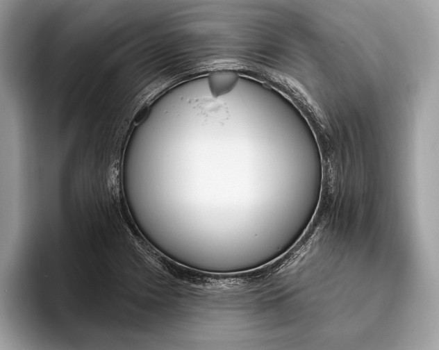 X0000096431225200802141425