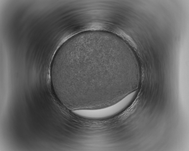 X0000096431226200802141425