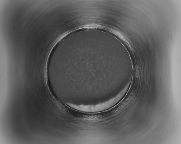 X0000096431229200802141425