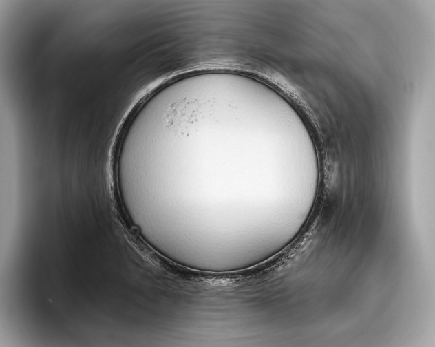 X0000096431230200802141425